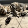 甘えん坊な男の子 サムネイル3