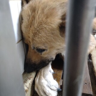 19日期限です、家族を待っています！