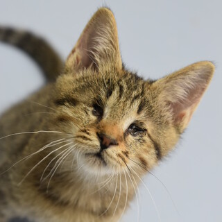 ワンダーくん！