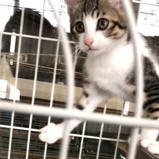 元気いっぱい！好奇心の塊★空くん