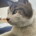 たけのこ♂