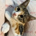 素敵な家族が見つかりました♡のりたま