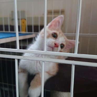 ミグランマ も うに姉さんも少しずつ元気になってるって…母ちゃん先生がぼくに教えてくれた！by天