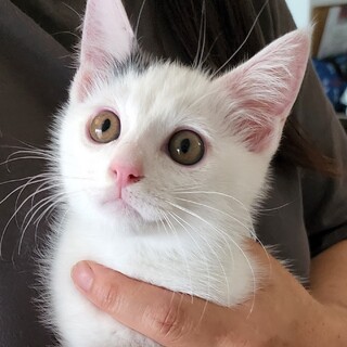 遊ぶの大好き男の子