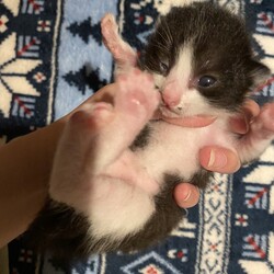 目が開き始めた！！！