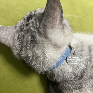 タグが届いたので早速付けました！