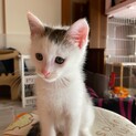 つーちゃん、5/8生まれ・のんびり屋さん