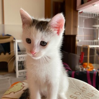 つーちゃん、5/8生まれ・のんびり屋さん