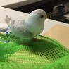 の写真