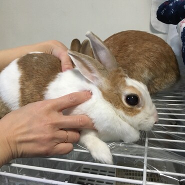 の写真