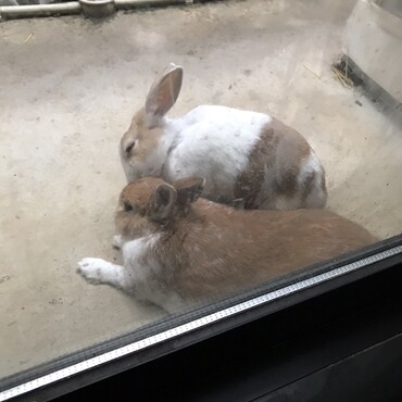 の写真