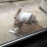 の写真