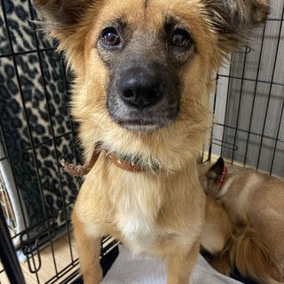 小ぶりなマリリンの家族を探してます。