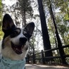 の写真