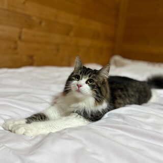 公募を一時停止いたします。