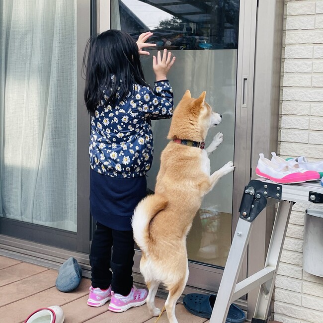 K-Digのカバー写真