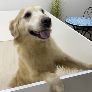 6歳の女の子です