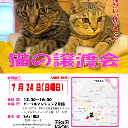 Sakai♥猫活　譲渡会