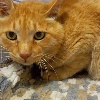 〝とん君〟です♪