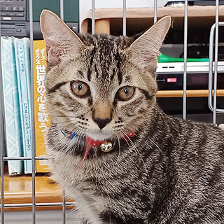 おもちゃ遊びが大好き・無邪気な子★トララ君