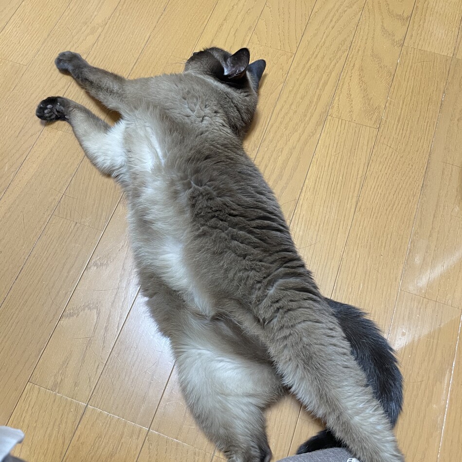 ぷりんのカバー写真