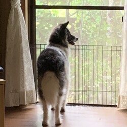 朝のルーティーンとか