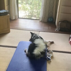 「朝のルーティーンとか」サムネイル2