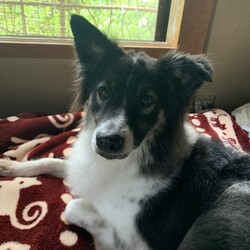 「朝のルーティーンとか」サムネイル3