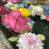 こどもたちとねこのまま
