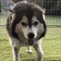トライアル決定しました。優しい顔の明日香ちゃん
