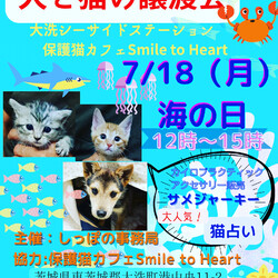 犬と猫の譲渡会