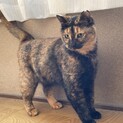 再掲載します！