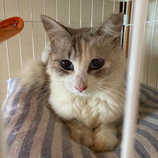 とっても甘えん坊です