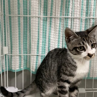 ひげ袋がチャームポイントな男の子♡