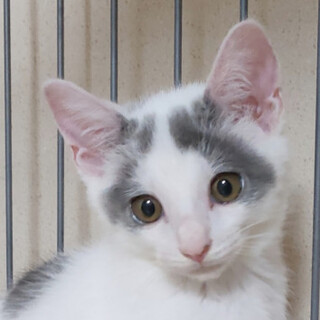 元気いっぱいミズ君