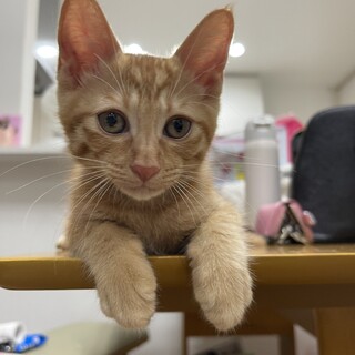 美形３兄弟、ルックス抜群⭐︎