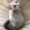 ハンデなんか関係ない！可愛くてとっても元気⭐︎ サムネイル3