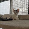 甘えん坊のお嬢ちゃん⭐︎ サムネイル2