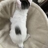 甘えん坊のお嬢ちゃん⭐︎ サムネイル4