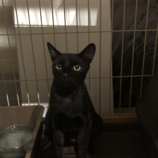 ありがとうございました！