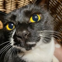 浅川　妙子