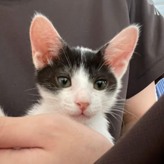 一番が大好きな『黒豆くん』☆彡