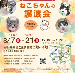 ねこざんまい譲渡会@東日本橋