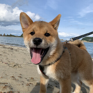 ☆❣️家族が決まりました❣️☆