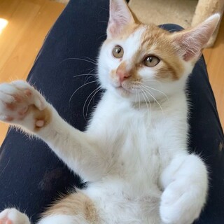 好奇心旺盛でお茶目な「カラ」くん❤