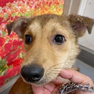 成長楽しみな かよりちゃん 5ヶ月