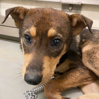 【相談中】成長楽しみな かよおくん 5ヶ月