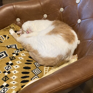 ♡