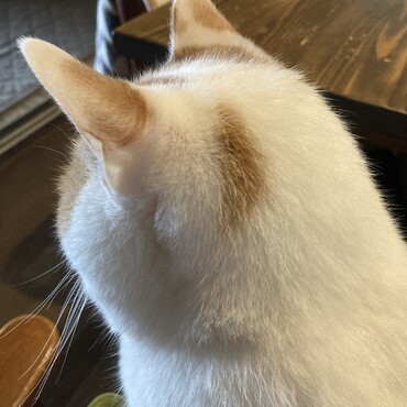 ♡