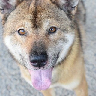 ​​直ぐに親友のソジロウくん！